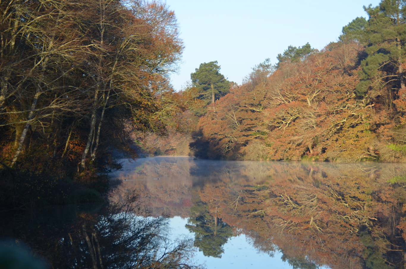 etang verger lt