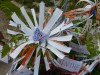 detail_pt_jardin.jpg